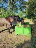 Slowfeeder Groen XXL (1 kuub) - foto's 3